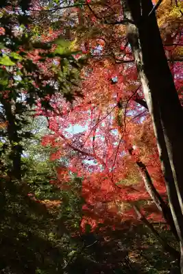 神應寺(京都府)