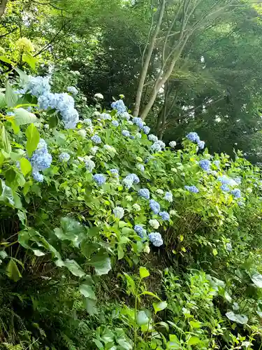 石都々古和気神社の自然