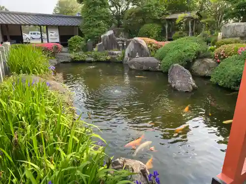 一乗院(身代不動尊) の庭園