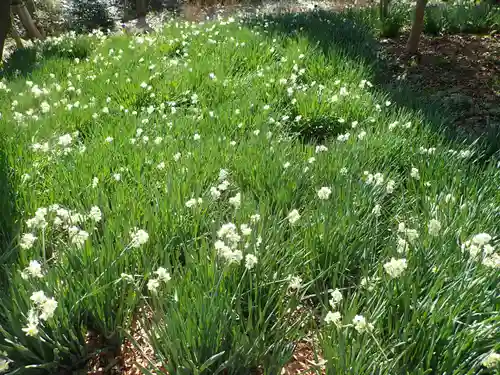 吾妻神社の御朱印