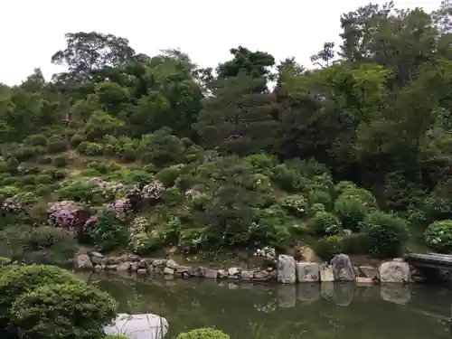 根来寺 智積院の庭園