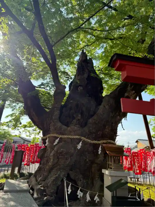 秩父今宮神社(埼玉県)