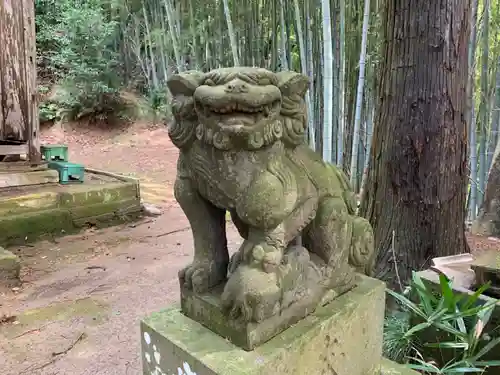 十二社神社の狛犬