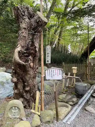 千歳神社の手水舎