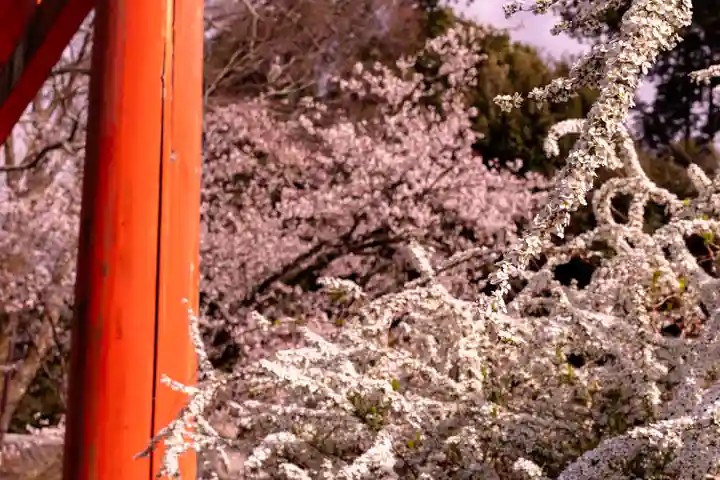 吉田神社(京都府)
