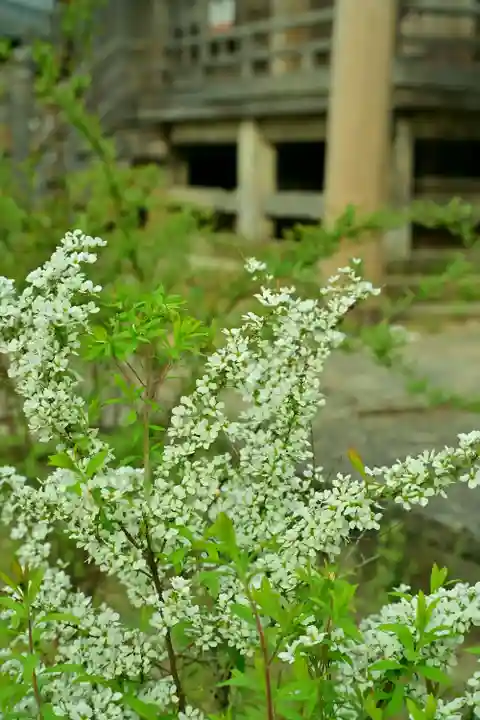白山媛神社(新潟県)