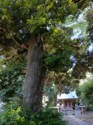 須賀神社(千葉県)