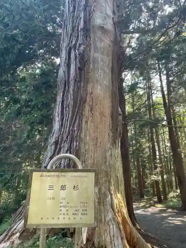 箟峯寺(宮城県)