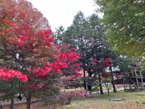 淨眞寺(東京都)