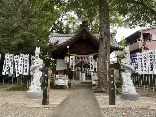 白金龍王社(愛知県)