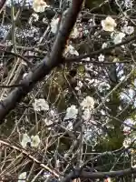 天神社(静岡県)