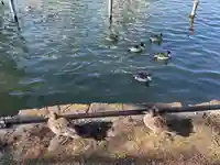 上野東照宮(東京都)