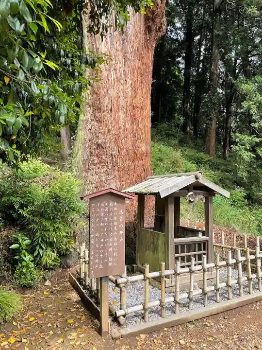 大中寺(栃木県)