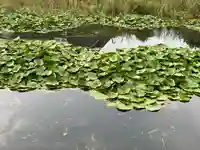 石貫神社(宮崎県)