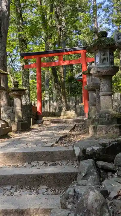 春日大社(奈良県)