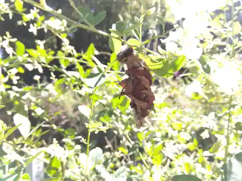 瑞源寺(福井県)