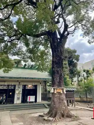 駒込天祖神社(東京都)