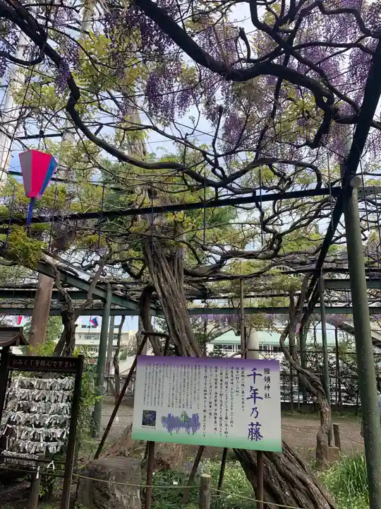 國領神社の庭園
