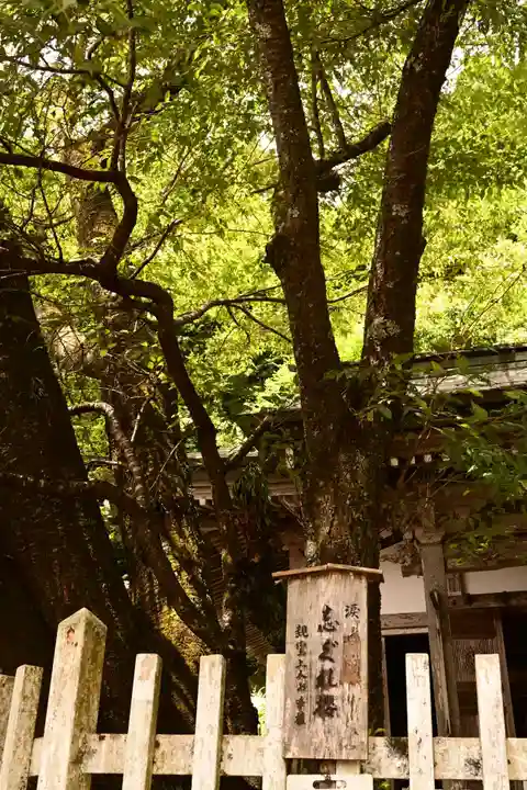 月輪寺(京都府)