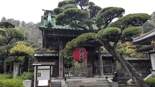 長谷寺の山門