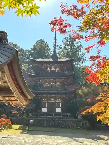 西明寺の{uncategorized: "未分類", other: "その他", undefined: "問題あり", building: "その他建物", grave: "お墓", sacred_gate: "鳥居", guardian: "狛犬", statue: "像", buddha: "仏像", history: "歴史", nature: "自然", garden: "庭園", animal: "動物", pagoda: "塔", temizu: "手水舎", mountain_gate: "山門・神門", sanctuary: "本殿・本堂", subordinate: "末社・摂社", art: "芸術", scenery: "景色", jizo: "地蔵", ema: "絵馬", goshuin: "御朱印", omikuji: "おみくじ", items: "授与品その他", amulet: "お守り", goshuincho: "御朱印帳", eats: "食事", festival: "お祭り", votive_dance: "神楽", shichigosan: "七五三参", wedding: "結婚式", experience: "体験その他", initially: "初詣", around: "周辺", anti_infection: "感染症対策"}
