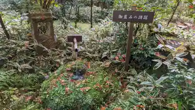 来迎院(京都府)