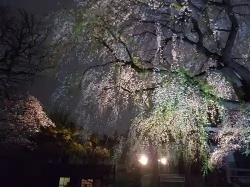 常圓寺(東京都)