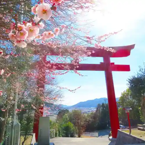 甲八幡神社の鳥居