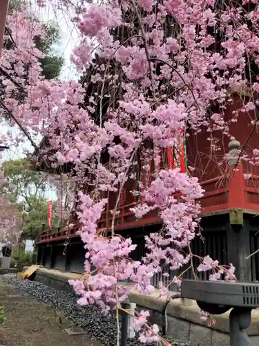 清水観音堂の自然
