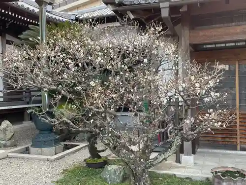梅香寺(三重県)