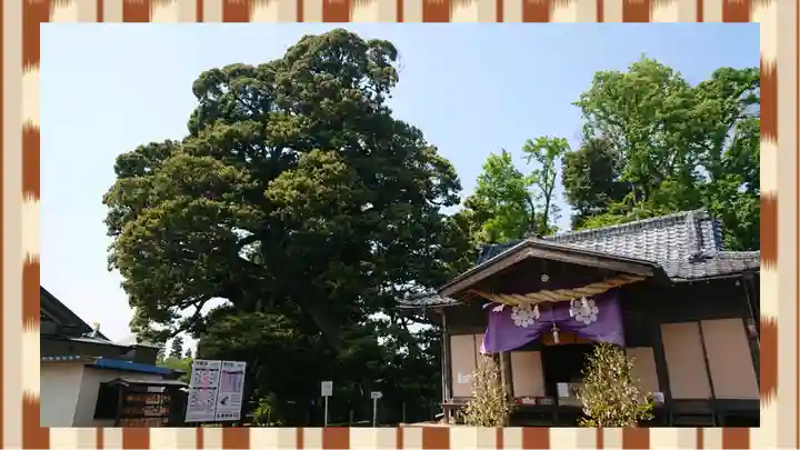 九重神社(埼玉県)