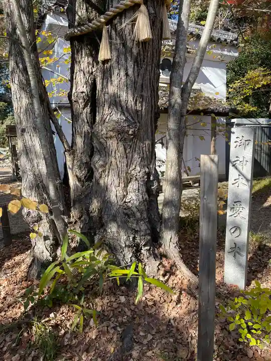 梨木神社の自然