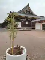 蓮華王院(三十三間堂)(京都府)