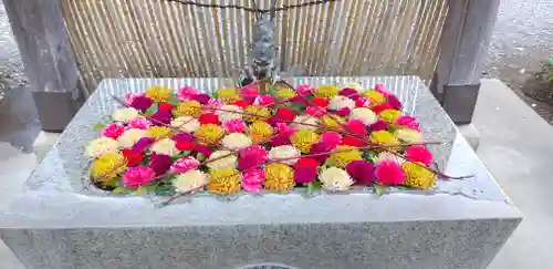 長良神社の手水