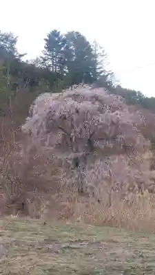 勝間薬師堂(長野県)