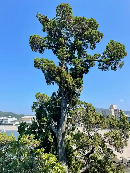 森戸大明神(森戸神社)(神奈川県)