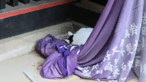 妻沼聖天山歓喜院の動物