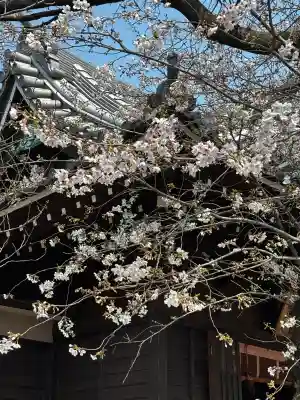 萩中神社の{uncategorized: "未分類", other: "その他", undefined: "問題あり", building: "その他建物", grave: "お墓", sacred_gate: "鳥居", guardian: "狛犬", statue: "像", buddha: "仏像", history: "歴史", nature: "自然", garden: "庭園", animal: "動物", pagoda: "塔", temizu: "手水舎", mountain_gate: "山門・神門", sanctuary: "本殿・本堂", subordinate: "末社・摂社", art: "芸術", scenery: "景色", jizo: "地蔵", ema: "絵馬", goshuin: "御朱印", omikuji: "おみくじ", items: "授与品その他", amulet: "お守り", goshuincho: "御朱印帳", eats: "食事", festival: "お祭り", votive_dance: "神楽", shichigosan: "七五三参", wedding: "結婚式", experience: "体験その他", initially: "初詣", around: "周辺", anti_infection: "感染症対策"}