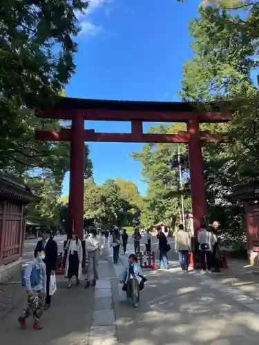 武蔵一宮氷川神社の鳥居