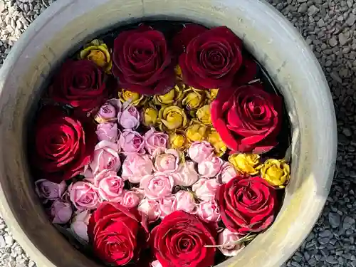 前玉神社(埼玉県)