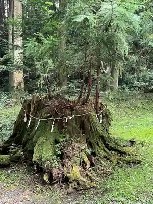 御岩神社(茨城県)