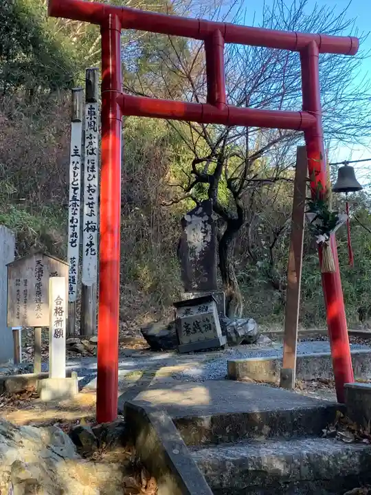 樺崎八幡宮の鳥居