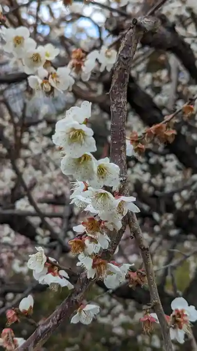 智積院(京都府)