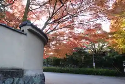 退耕庵(京都府)