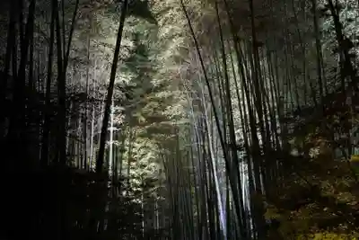 高台寺（高台寿聖禅寺・高臺寺）(京都府)