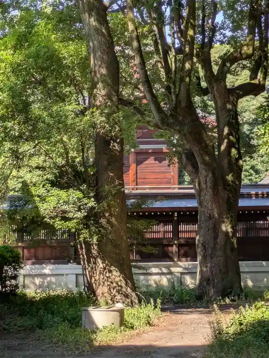 明治神宮(東京都)