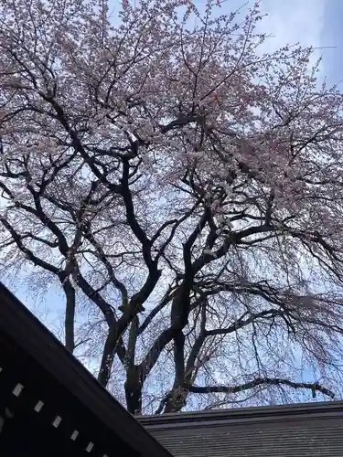 長野縣護國神社(長野県)