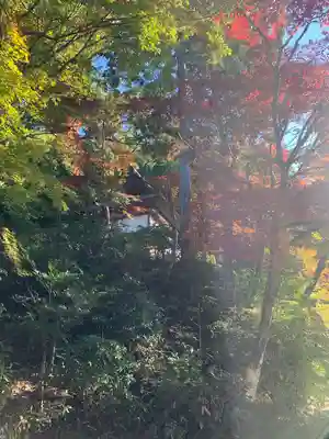 楠妣庵観音寺(大阪府)