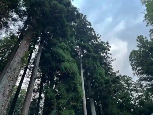 大宮温泉神社(栃木県)