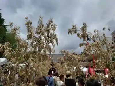 浅草神社のお祭り